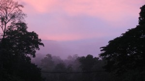 Sunset over the rainforest